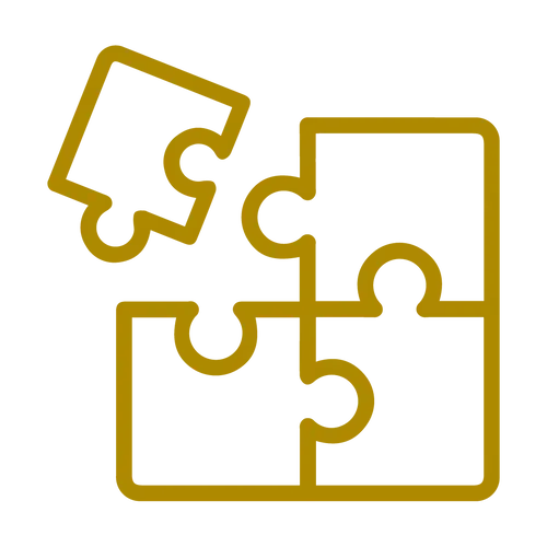 JEV puzzle icon